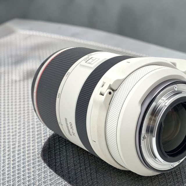 RF 70-200mm F2.8 L IS USM