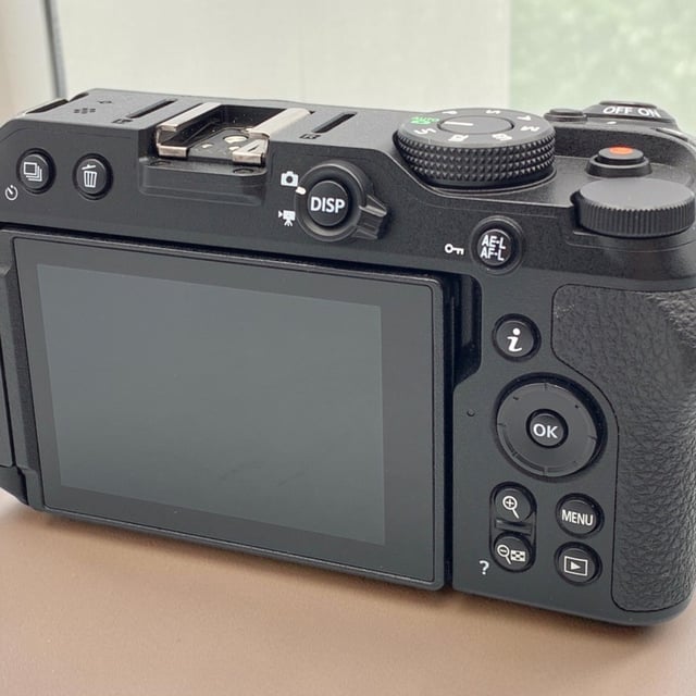 Z30 ボディ