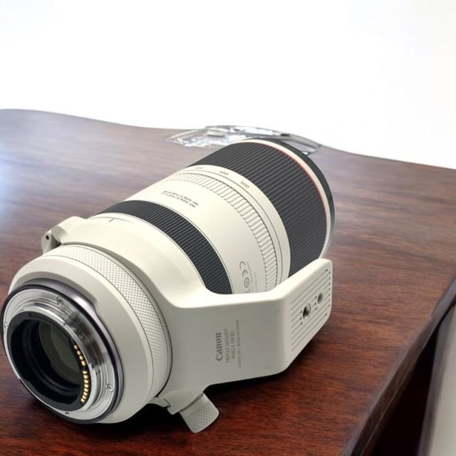 RF 100-500mm F4.5-7.1 L IS USM