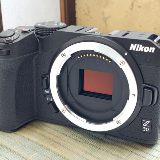Z30 ボディ