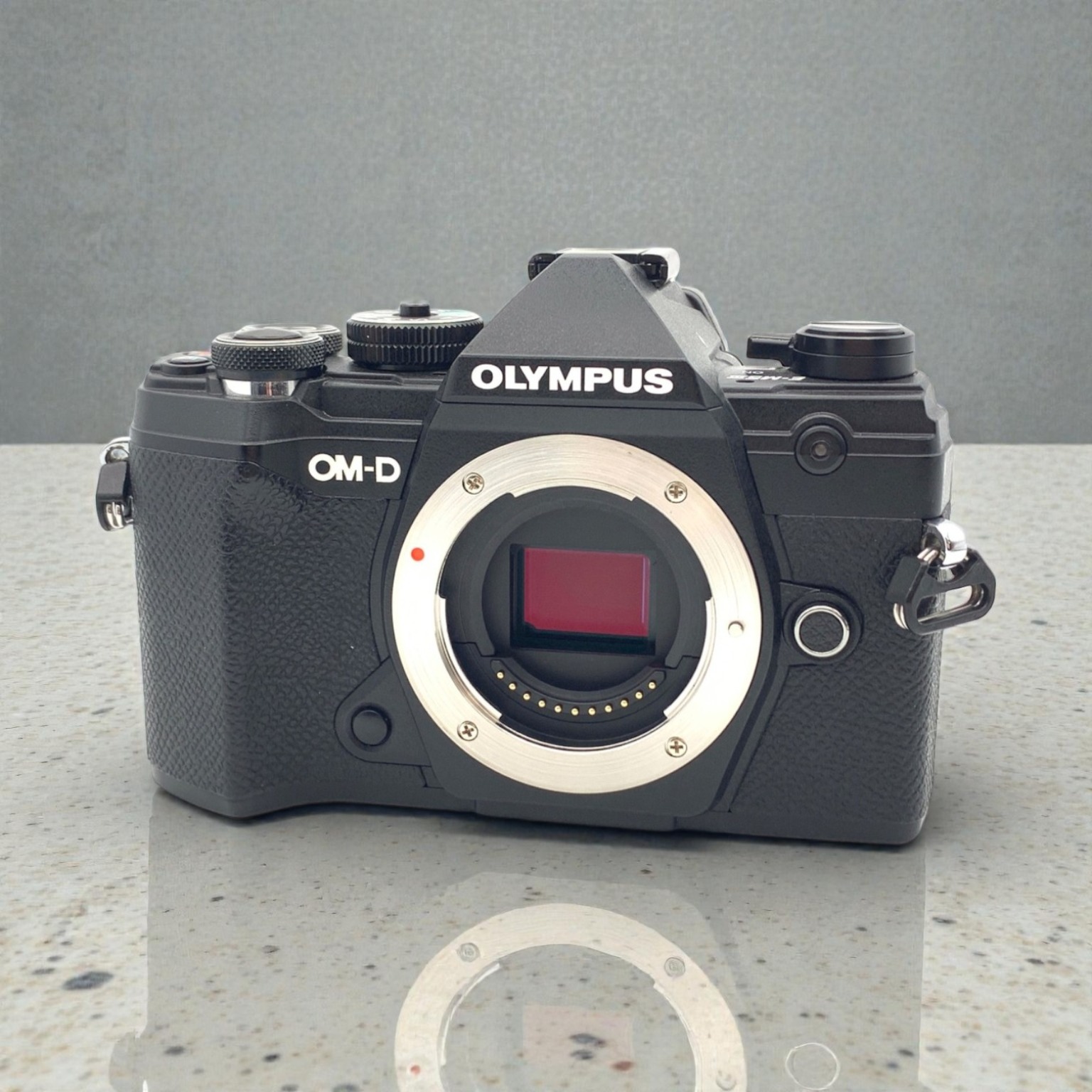 OM SYSTEM OM-D E-M5 Mark III ボディ 