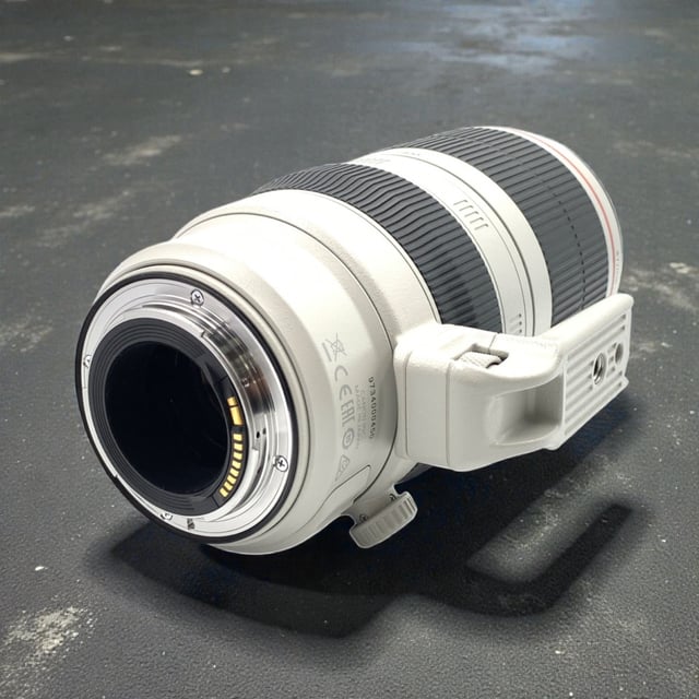 EF 100-400mm F4.5-5.6L IS II USM