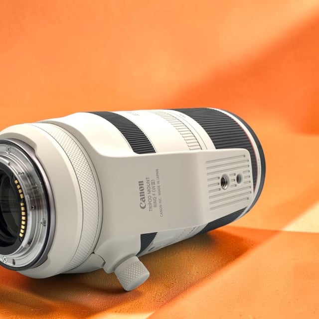 RF 100-500mm F4.5-7.1 L IS USM
