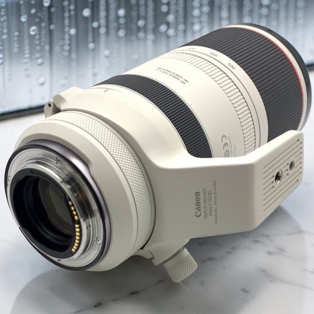 RF 100-500mm F4.5-7.1 L IS USM