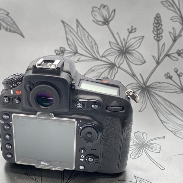 D810 ボディ