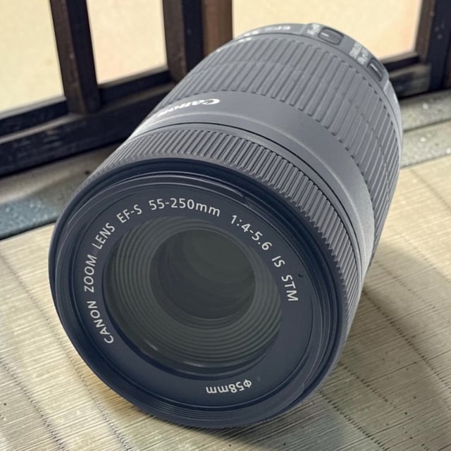 EF-S55-250mm F4-5.6 IS STM