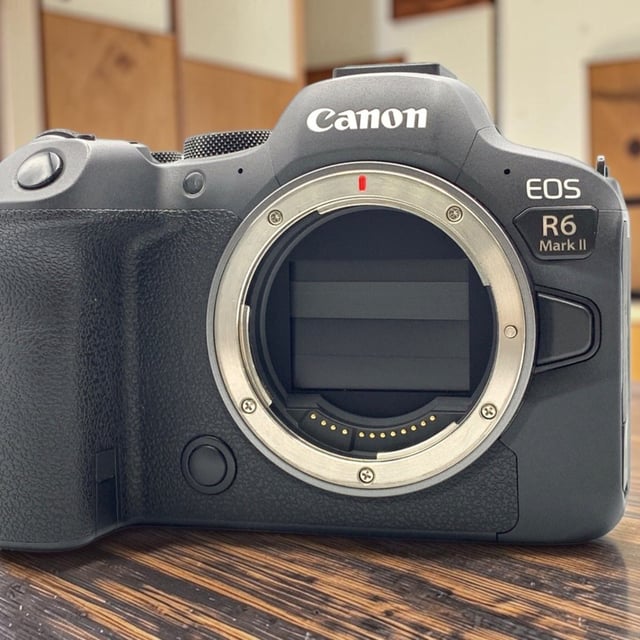 EOS R6 Mark II ボディ