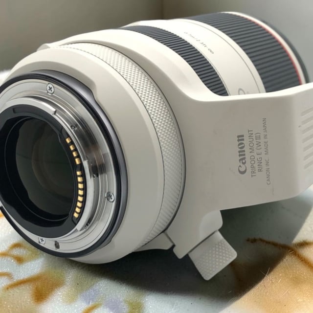 RF 70-200mm F2.8 L IS USM