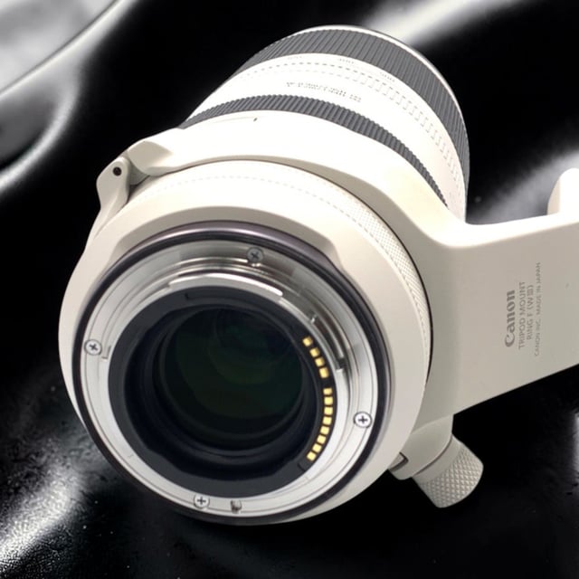 RF 100-500mm F4.5-7.1 L IS USM