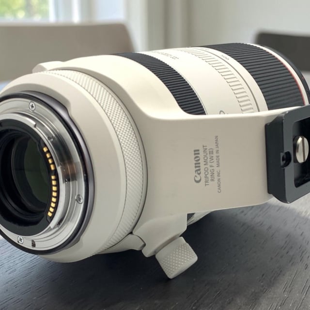 RF 100-500mm F4.5-7.1 L IS USM
