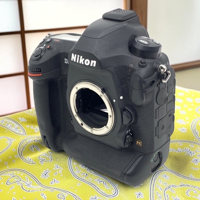D6 ボディ