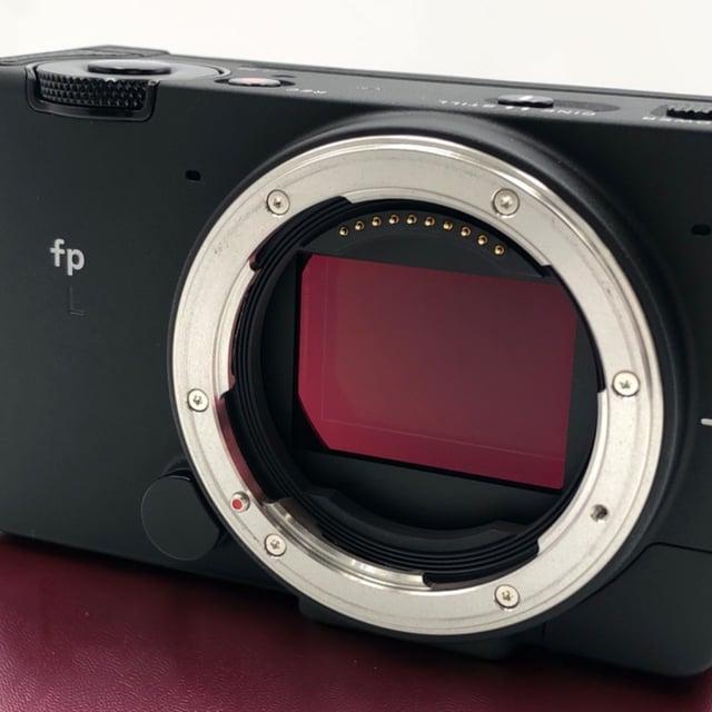 SIGMA fp L ボディ