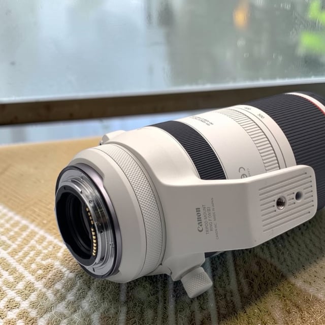 RF 100-500mm F4.5-7.1 L IS USM