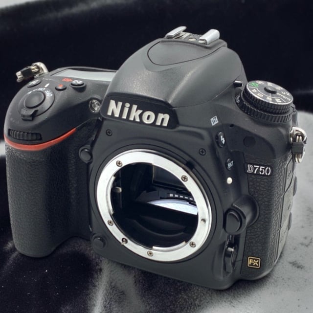 D750 ボディ