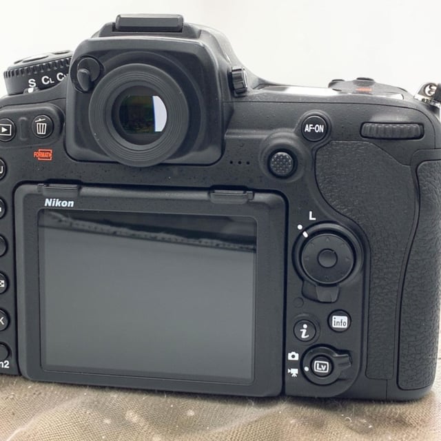 D500 ボディ