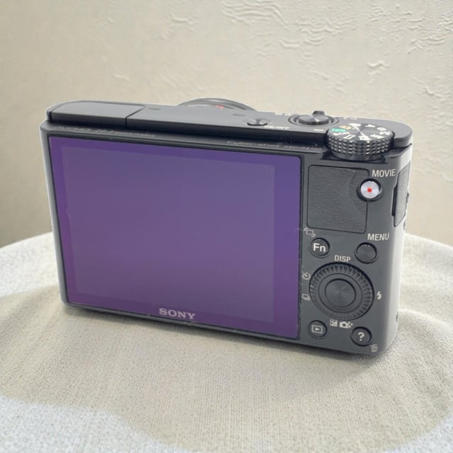 サイバーショット RX100(DSC-RX100)
