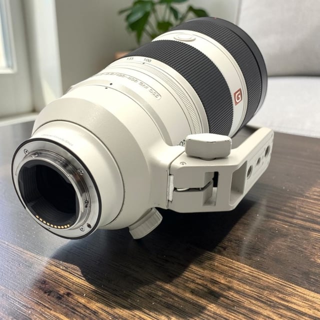 FE 100-400mm F4.5-5.6 GM OSS SEL100400GM