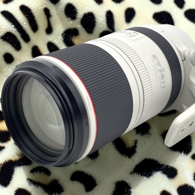 RF 100-500mm F4.5-7.1 L IS USM