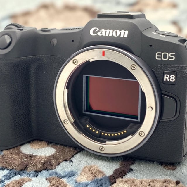 EOS R8 ボディ
