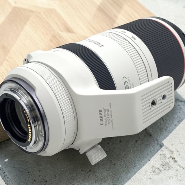 RF 100-500mm F4.5-7.1 L IS USM