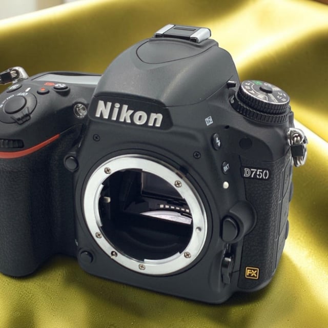 D750 ボディ