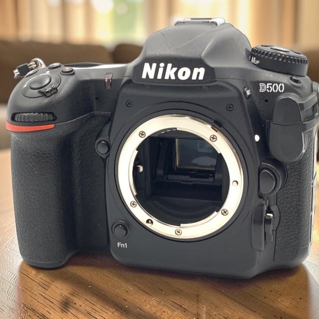 D500 ボディ