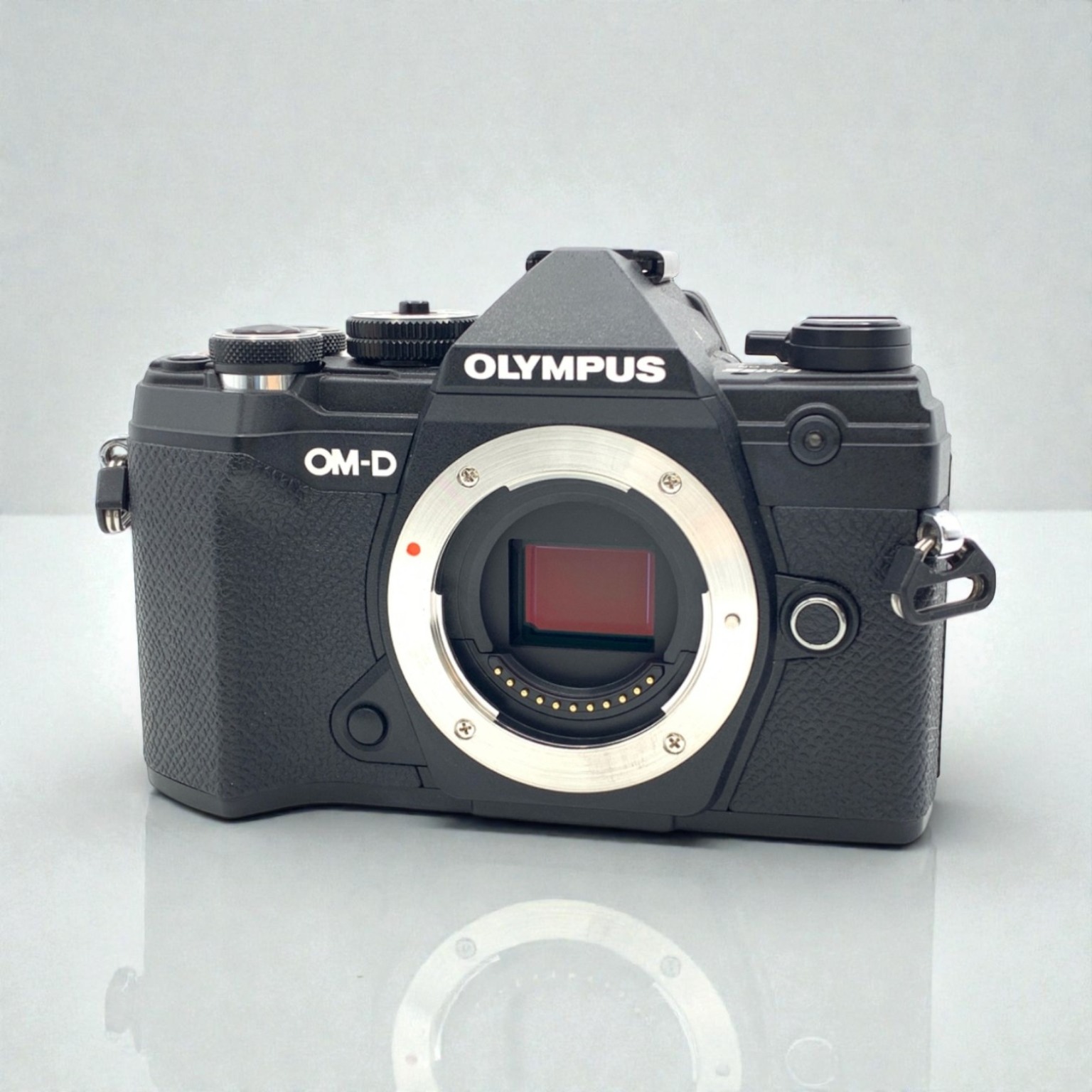 OM SYSTEM OM-D E-M5 Mark III ボディ 