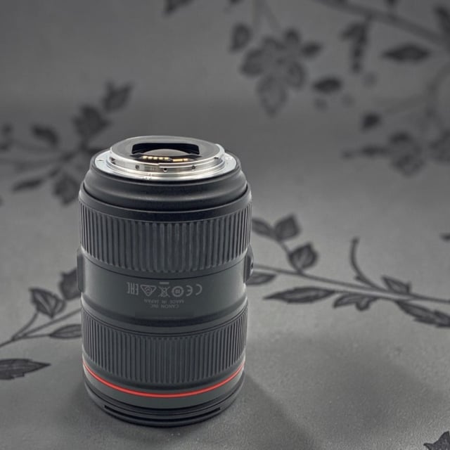 EF 24-105mm F4L IS II USM