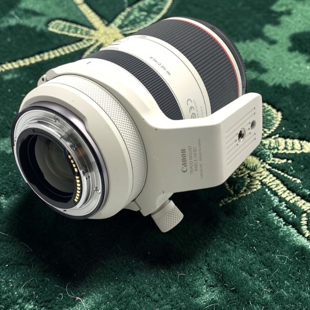 RF 70-200mm F2.8 L IS USM