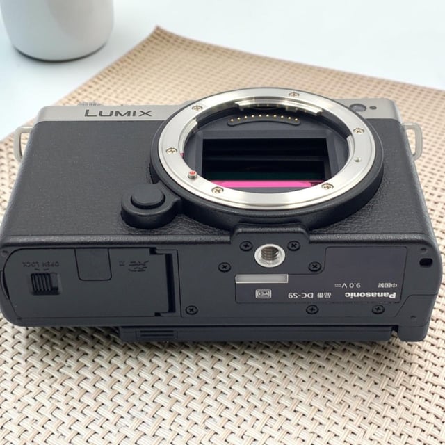 LUMIX S9(DC-S9) ボディ "ダークシルバー"