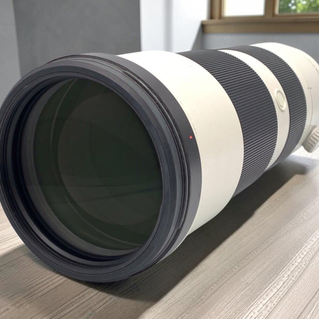 FE 200-600mm F5.6-6.3 G OSS SEL200600G