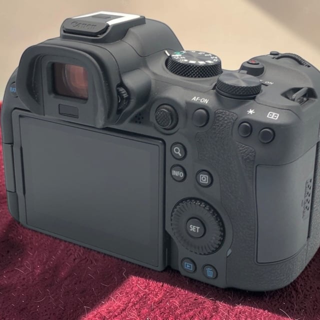 EOS R6 Mark II ボディ