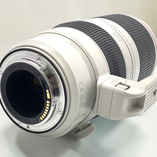 EF 100-400mm F4.5-5.6L IS II USM