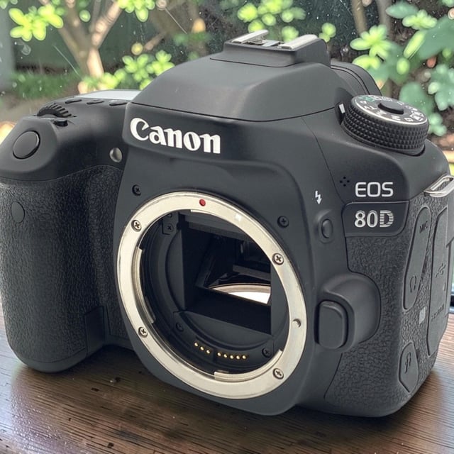 EOS 80D ボディ