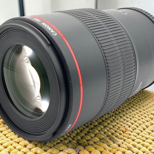 EF 100mm F2.8L マクロ IS USM