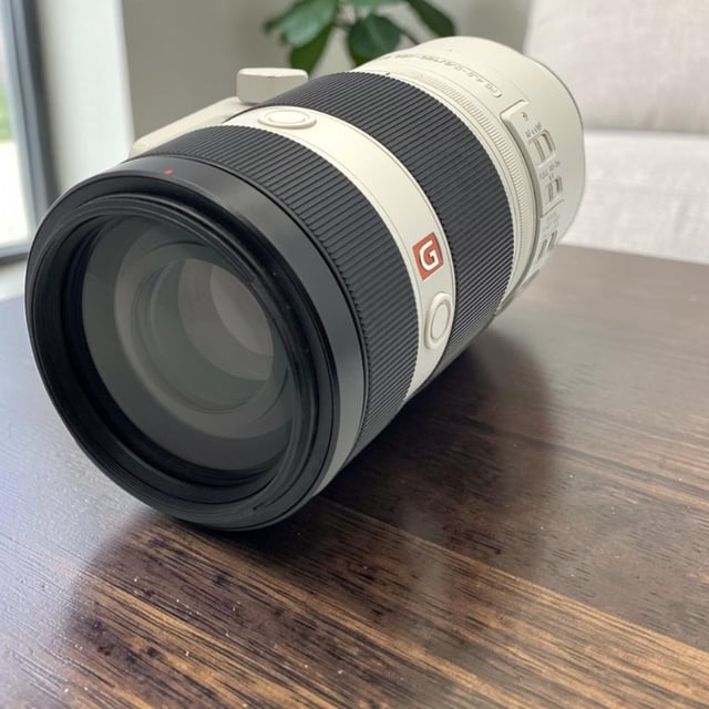 FE 100-400mm F4.5-5.6 GM OSS SEL100400GM