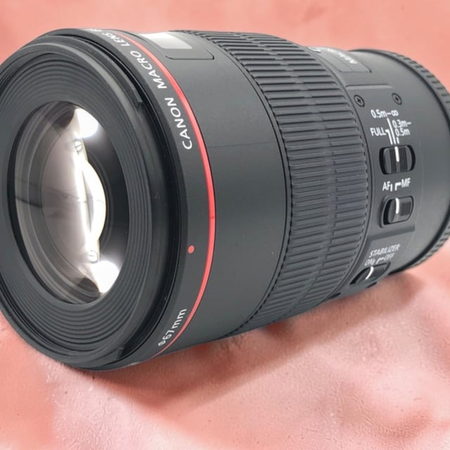 EF 100mm F2.8L マクロ IS USM