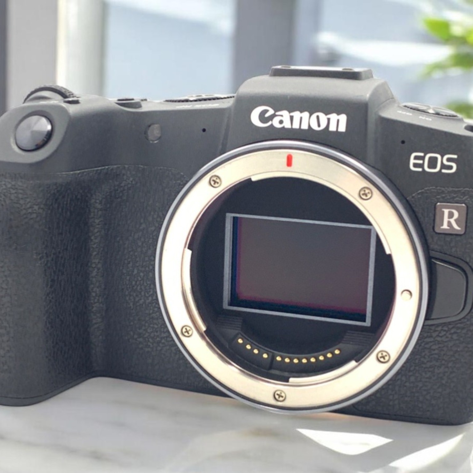Canon EOS RP ボディの中古 (美品)・¥75,250 | みんなのカメラ