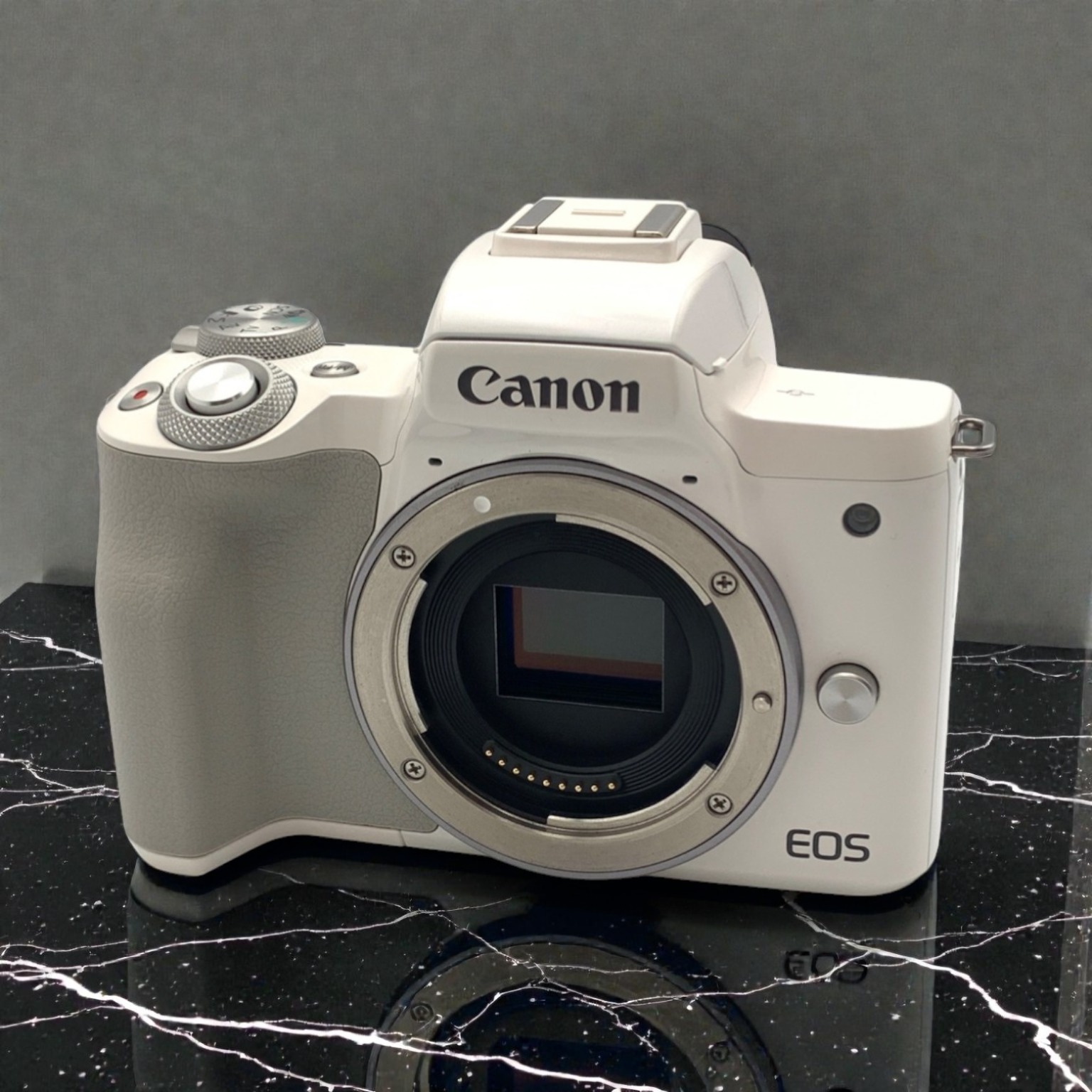 Canon EOS M100 ダブルズームキット 