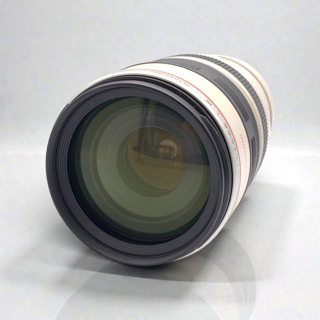 EF 100-400mm F4.5-5.6L IS USM