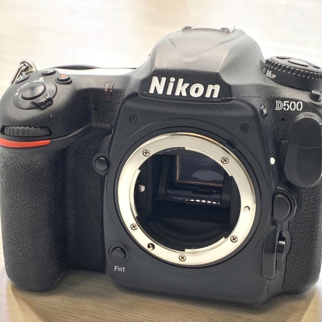 D500 ボディ
