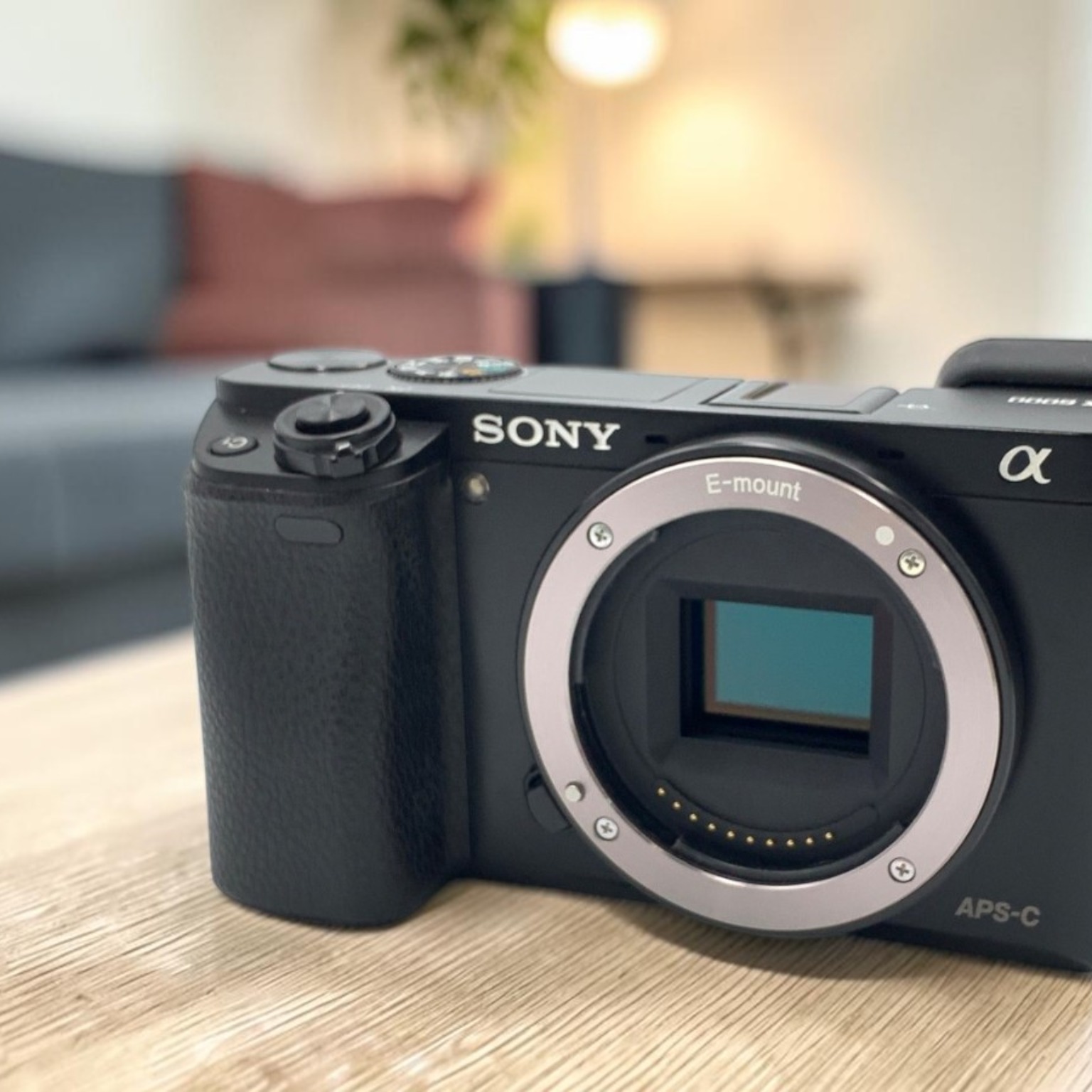SONY α6000 ILCE-6000 ボディ 