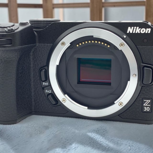 Z30 ボディ