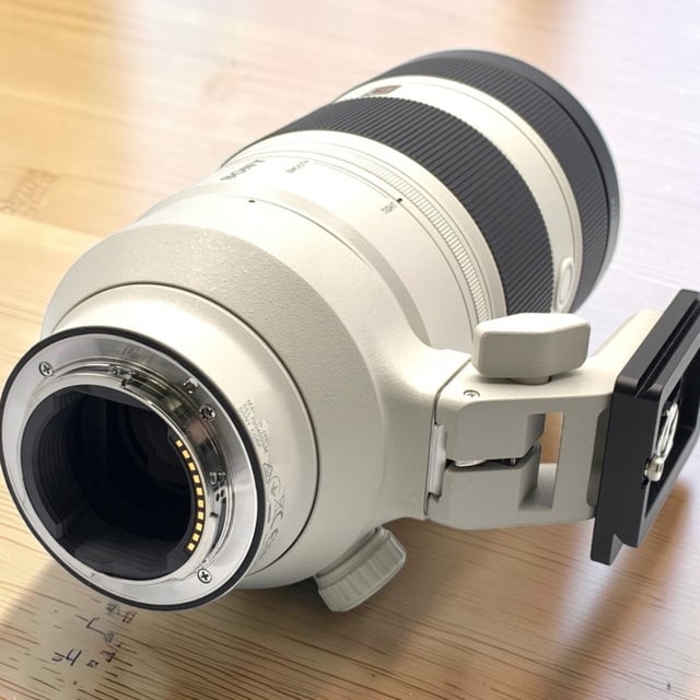 FE 100-400mm F4.5-5.6 GM OSS SEL100400GM