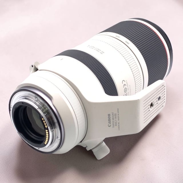 RF 100-500mm F4.5-7.1 L IS USM