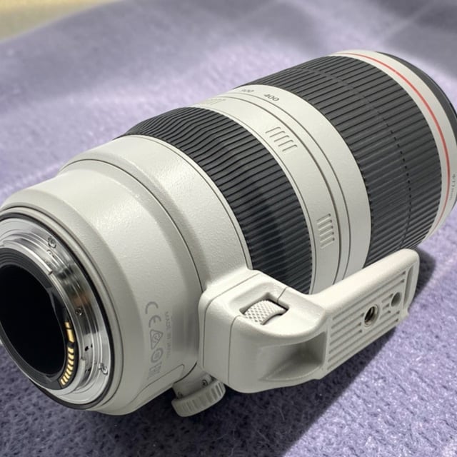 EF 100-400mm F4.5-5.6L IS II USM