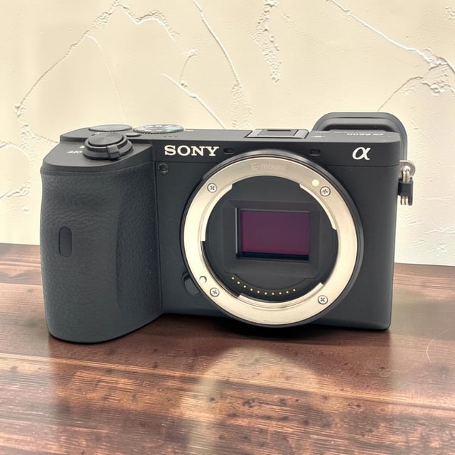 α6600 ILCE-6600 ボディ