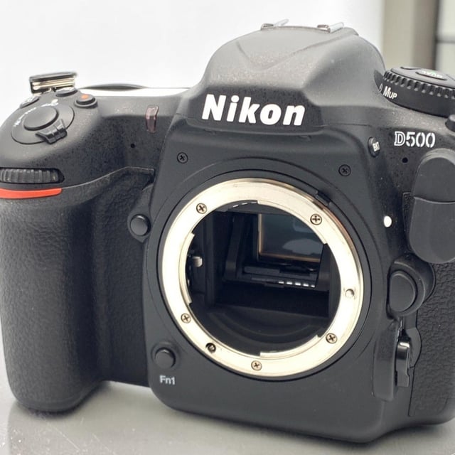 D500 ボディ