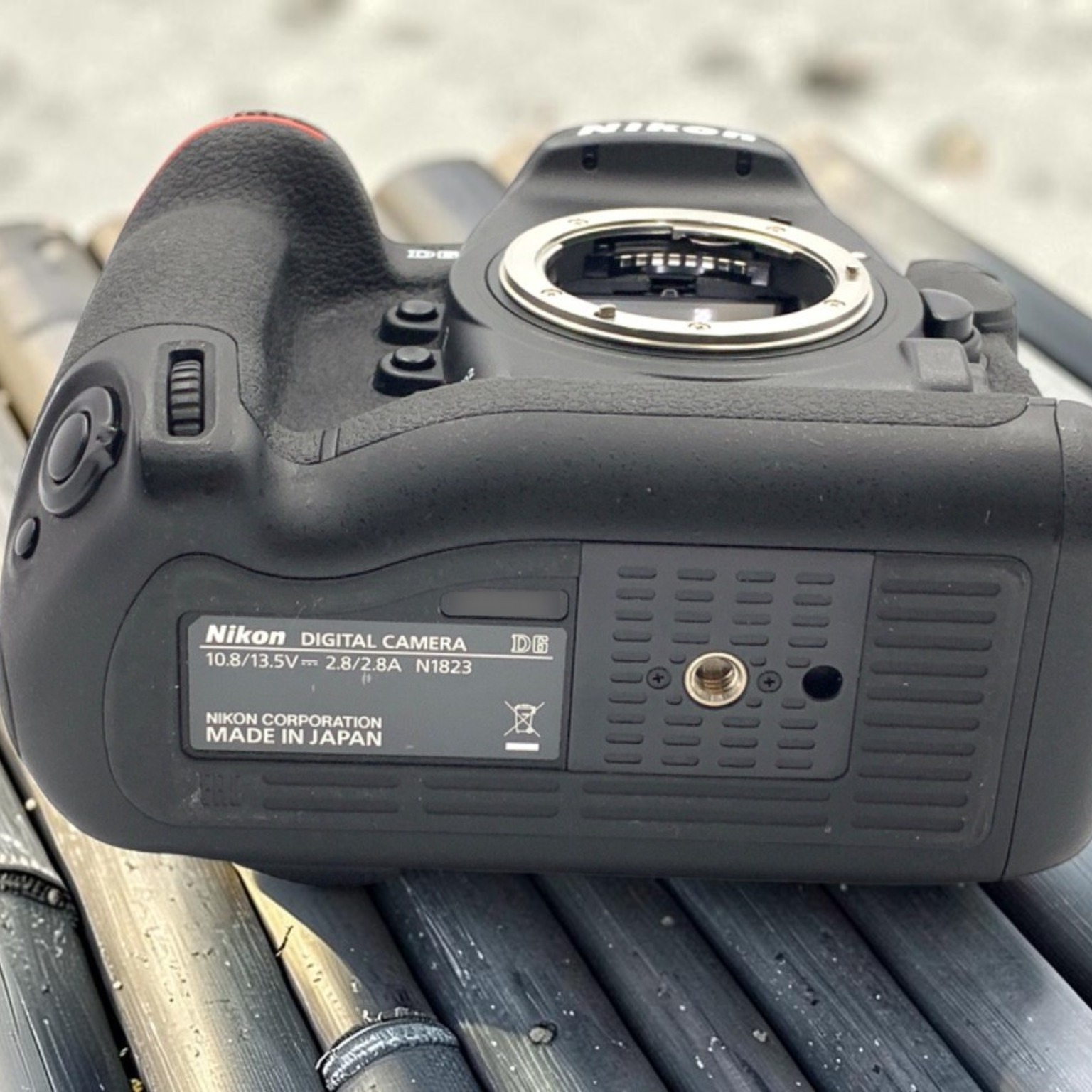 ニコン D6 ボディの中古 (良品)・¥411,160 by halmino | みんなのカメラ