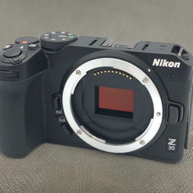 Z30 ボディ